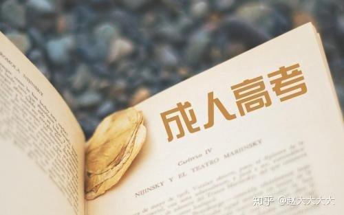 关于成人高考最新政策,关于成人高考最新政策的深度解读