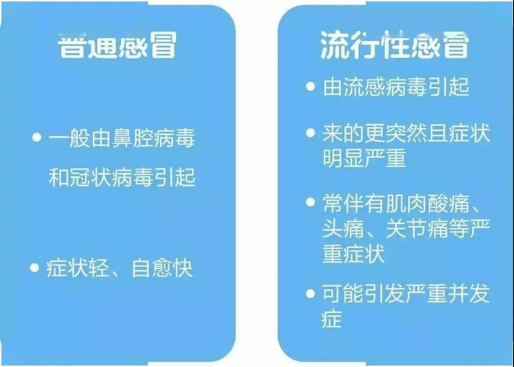 流感 最新,流感最新研究及防控措施探讨