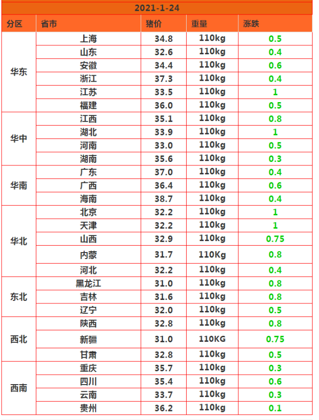 生猪价格今日最新,今日最新生猪价格动态分析