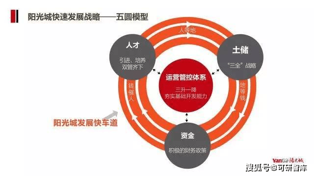 阳光城最新消息,阳光城最新消息综述，展望未来发展前景