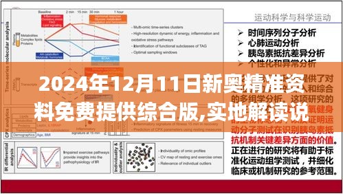 2024年今期2024新奥正版资料免费提供,2024年新奥正版资料免费提供概览