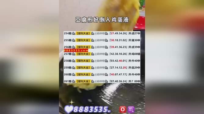 新澳开奖结果查询今天,新澳开奖结果查询今天，探索彩票世界的神秘与期待