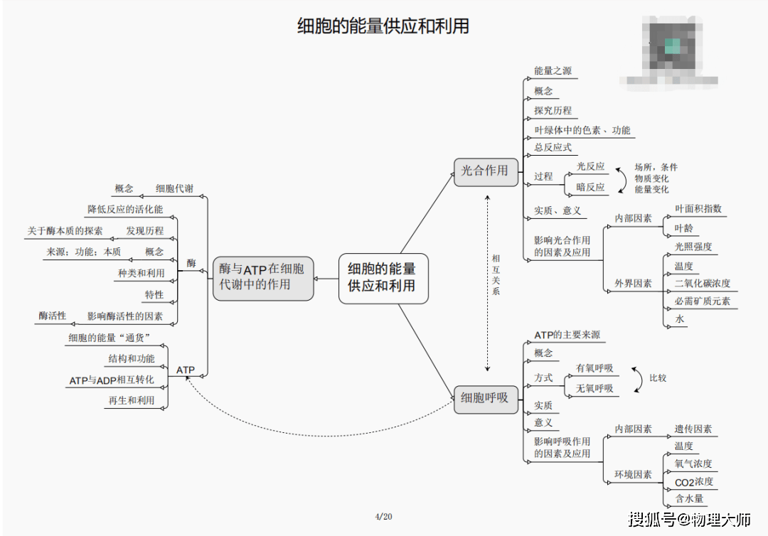 黄大仙三期内必开一肖,黄大仙三期内必开一肖——揭秘与解读