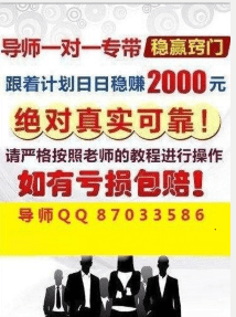 澳门天天彩期期精准,澳门天天彩期期精准——揭示背后的风险与挑战