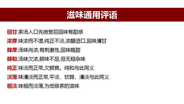 4949正版资料大全,探索4949正版资料大全，全面解析与深度理解