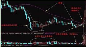 精准一肖100%准确精准的含义,精准一肖，揭秘百分之百准确预测的背后含义