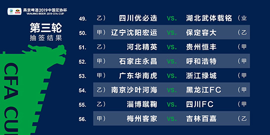 新澳2024年精准资料33期,新澳2024年精准资料33期深度解析与应用展望