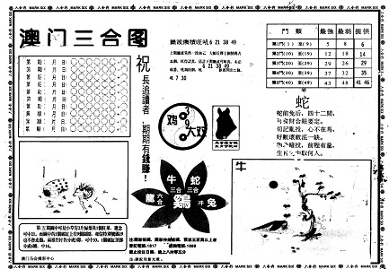 王中王493333中特1肖,王中王493333中特1肖的魅力与神秘