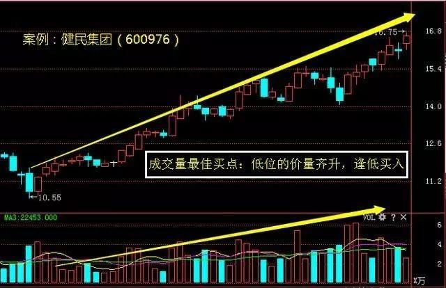 香港今晚开特马 开奖结果66期,香港今晚开特马，第66期开奖结果分析预测与深度探讨