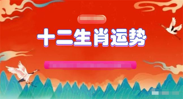 2024一肖一码100精准大全,关于一肖一码的精准解读与探讨——以2024年为例的独特视角