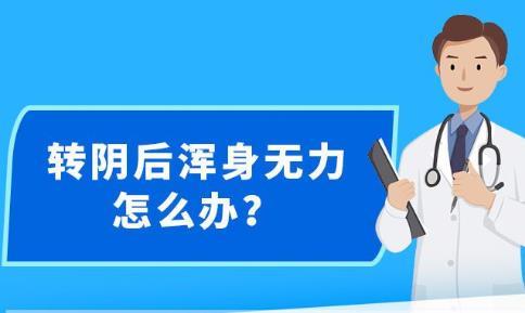 新澳精准资料大全免费更新,新澳精准资料大全免费更新，助力信息获取与决策优化