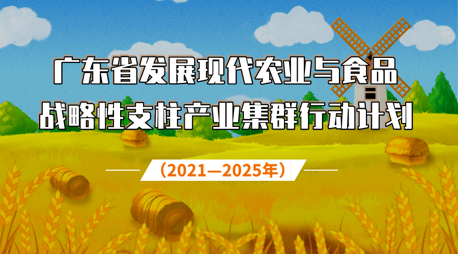 2025年天天开好彩大全,迈向2025年，天天开好彩的期待与行动指南