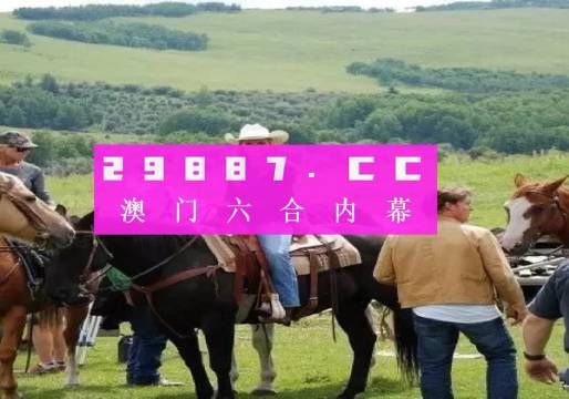 澳门公开一肖一码,澳门公开一肖一码的背后故事与探索