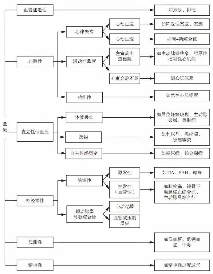 7777788888王中王中特,探索数字背后的秘密，王中王中特与数字世界中的奥秘