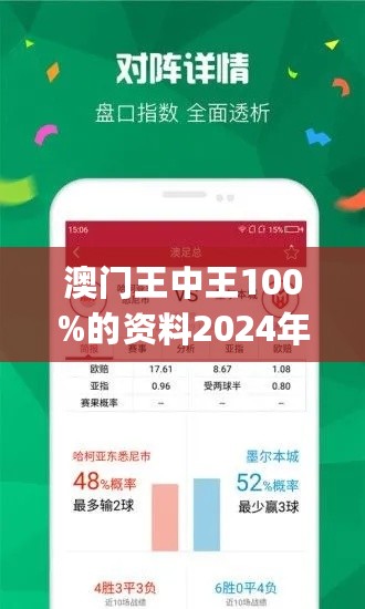 2025年新澳门王中王免费,关于澳门王中王游戏免费体验的文章探讨