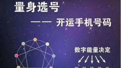 一肖一码100,一肖一码，探索数字世界的神秘魅力与无限可能