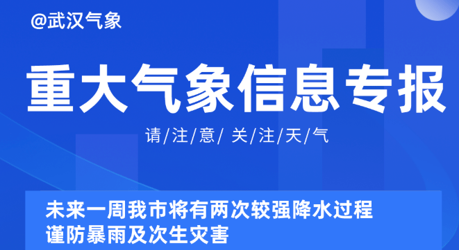 2025新奥资料免费精准051,探索未来，免费获取精准新奥资料的机遇与挑战（附获取指南）