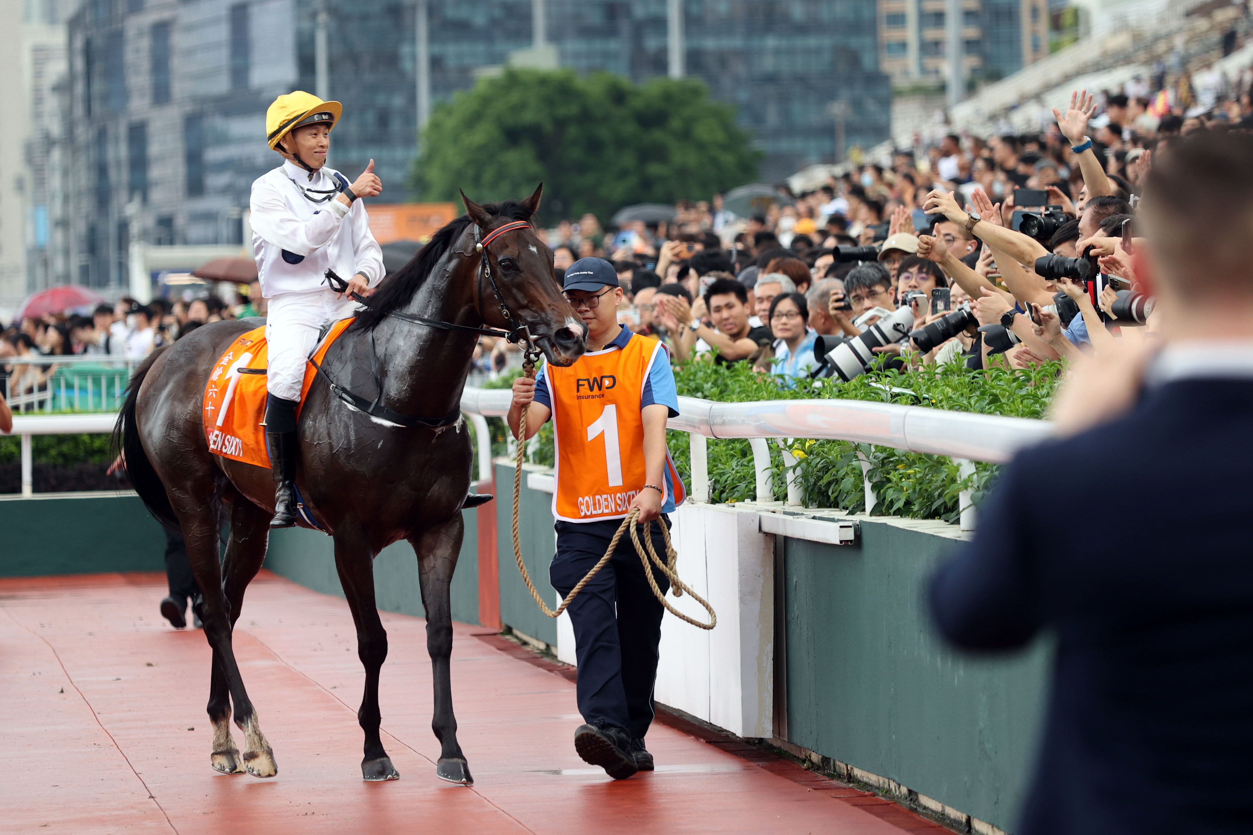 香港马买马网站www,香港马买马网站www——探索赛马文化的独特魅力