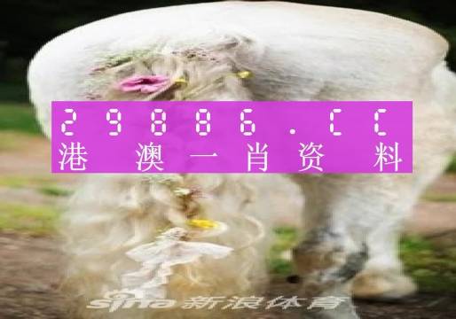 澳门王中王100的资料2023081期 05-08-29-33-34-45A：07,澳门王中王100的资料详解，探索2023年第三期的奥秘（2023年第三期第8期）